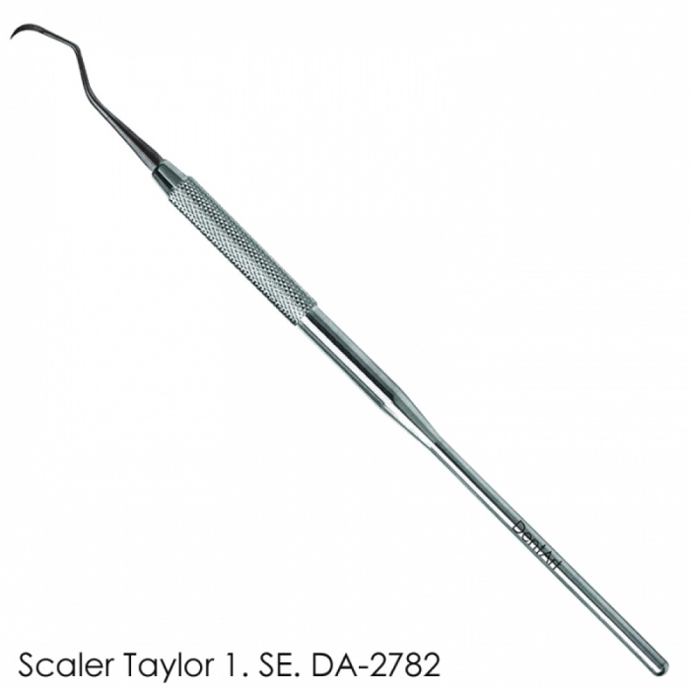 Scaler Taylor